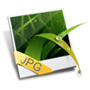 Files & Images Folder